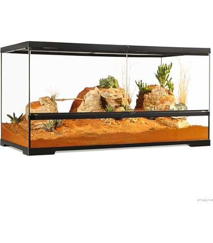 Amazon | GEX EXOTERRA フトアゴヒゲトカゲ&リクガメ飼育キットBK